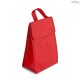 Bolsa Térmica em TNT Personalizada - H3750