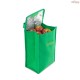 Bolsa Térmica em TNT Personalizada - H3750