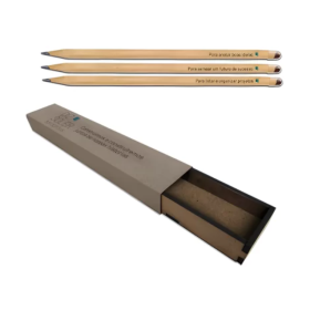 Kit com 3 Lápis Semente Personalizado H3179