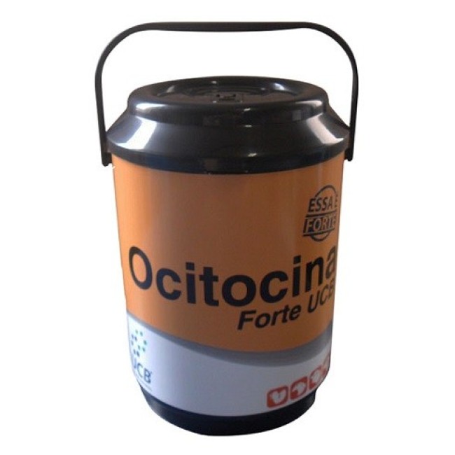 Cooler Térmico para 10 Latas Personalizado para Brindes H560